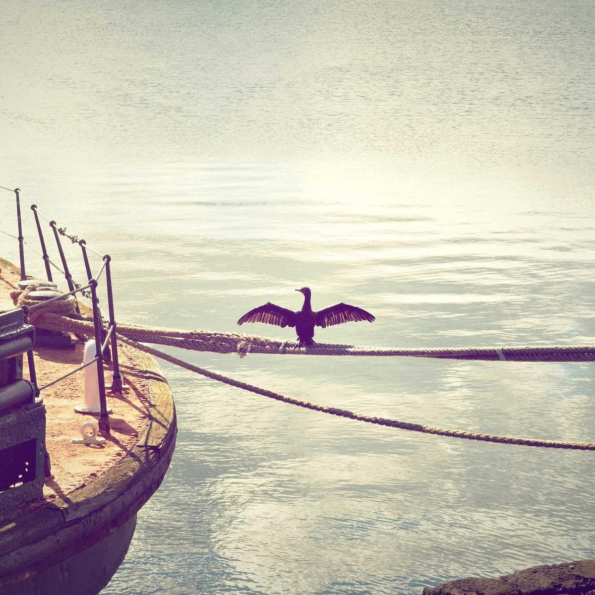 Quiet Hours album cover